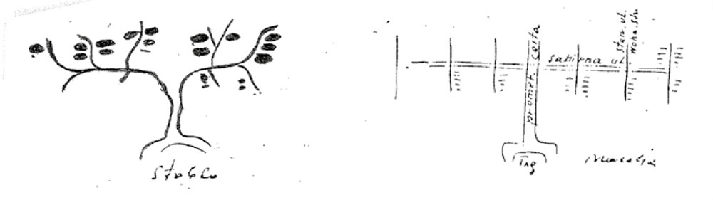 Neidhardt’s concept of tree branches that grow out from the old part of the city into new microcosm developments. Sketches from his letter to Dušan Grabrijan in which he explains his 1937 competition entry for Novi Sad. © Tatjana Neidhardt, 2024. Karlić-Kapetanović, 1990, p. 89.